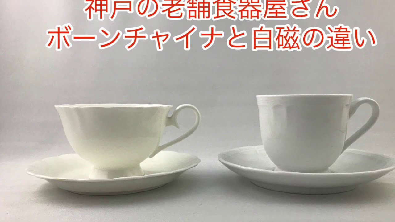 ボーンチャイナと白磁の違いについて 2020.0926 - YouTube