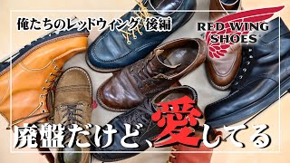 Discontinued] Revealing the staff's favorite Red Wings! Part 2