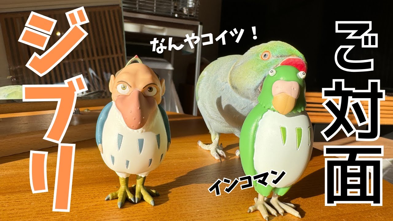 ジブリの「君たちはどう生きるか」うん、うん、うなずくインコマン人形