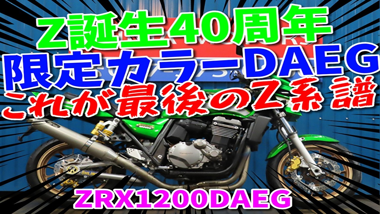 □Shiina Motors Ichikawa Store - Discontinued Edition□Kawasaki