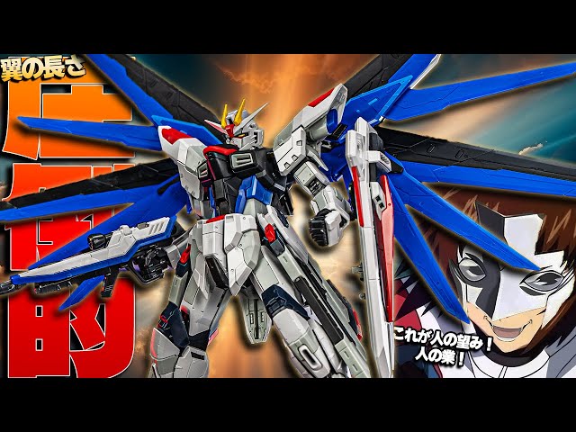 ほぼ全部新しくなった決定版！RGフリーダムガンダムVer.GCP【ガンプラ