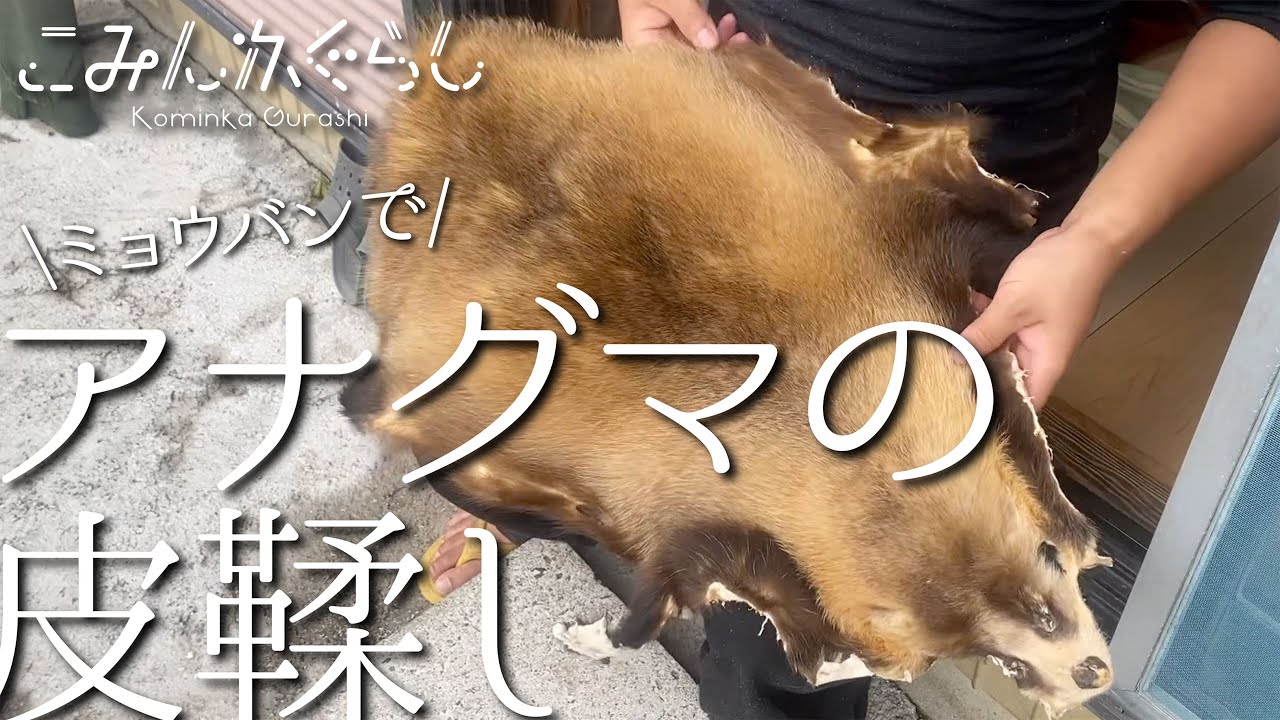 毛皮】アナグマの皮鞣し【絨毯】 - YouTube