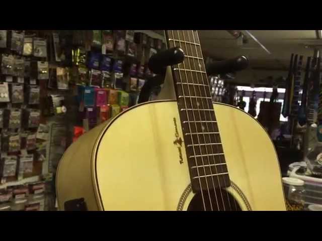 Seagull Natural Elements Dreadnaught SG T35 Acoustic/Electric