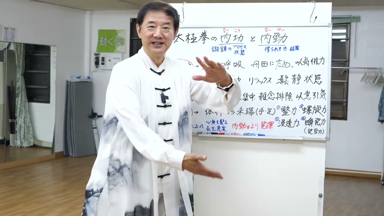 販売品・健身気功教材 (ニイハオの会) - 中国太極文化学院