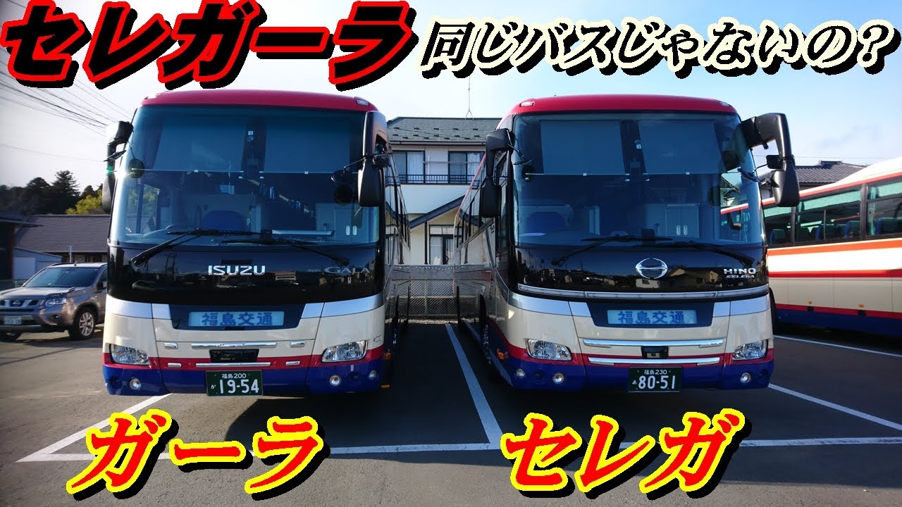 Selega and Gala] A bus driver explains the difference (J-BUS