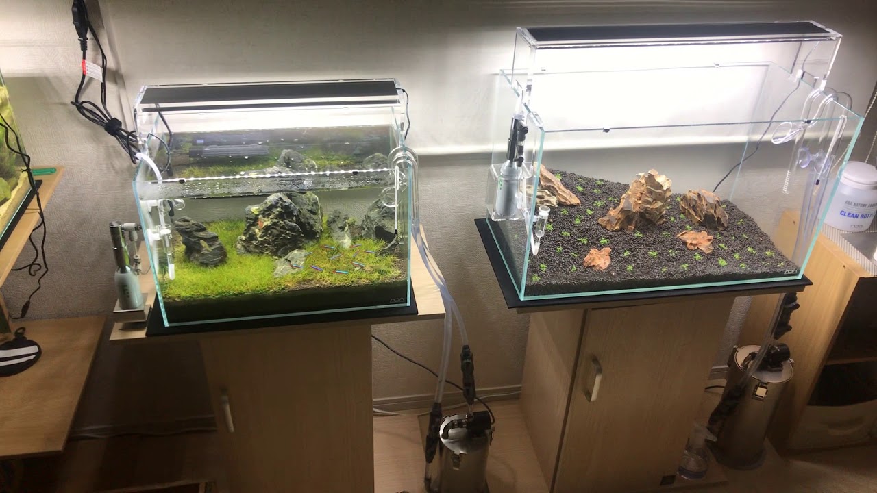 アクアリウム】ADA水槽 30 45 60センチ水槽 - YouTube