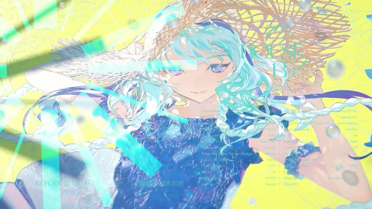 DIVERSE DIRECT | AD:HOUSE 13