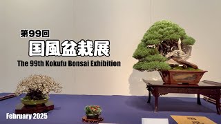 国風盆栽展 51-61 巻セット 国風盆栽展 写真集 第56〜59回、61〜64回