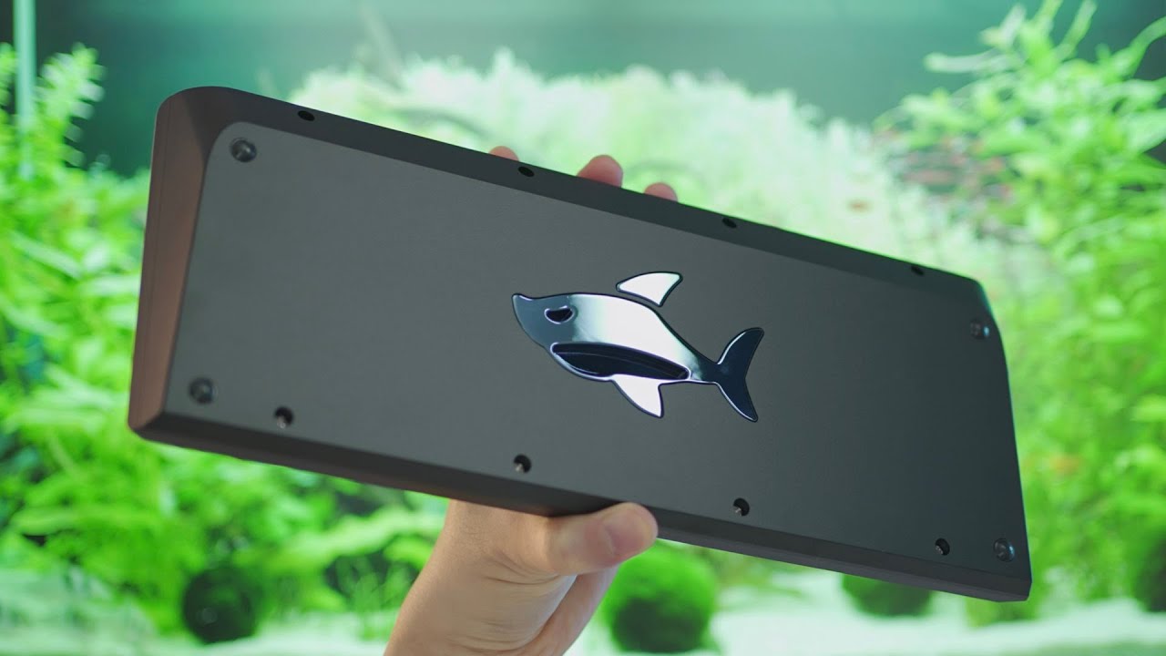 Monstargear Sangeo60 custom DIY keyboard : Monstargear