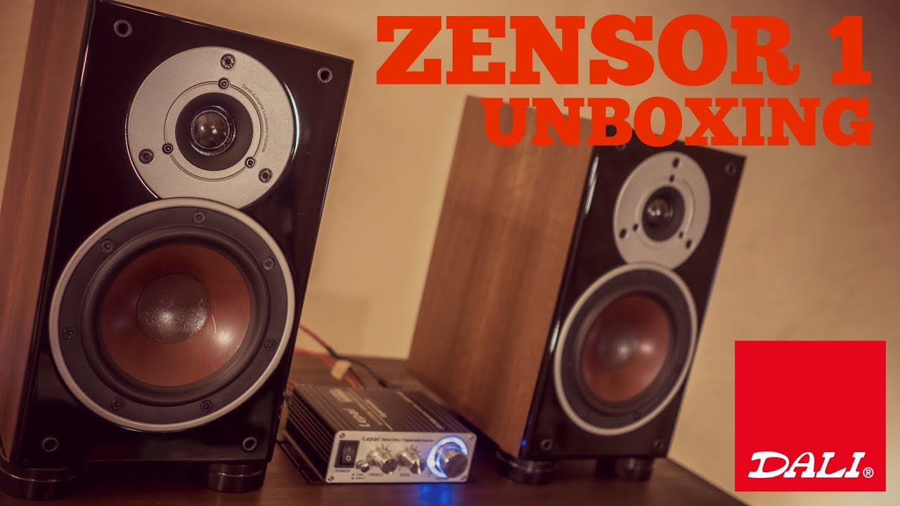 DALI ZENSOR 1 Unboxing & Sound - YouTube