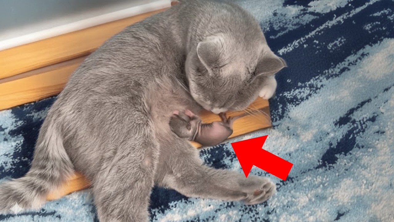 想い出がいっぱい / なかざわけんじ(ex.H2O) #アニメみゆき - YouTube