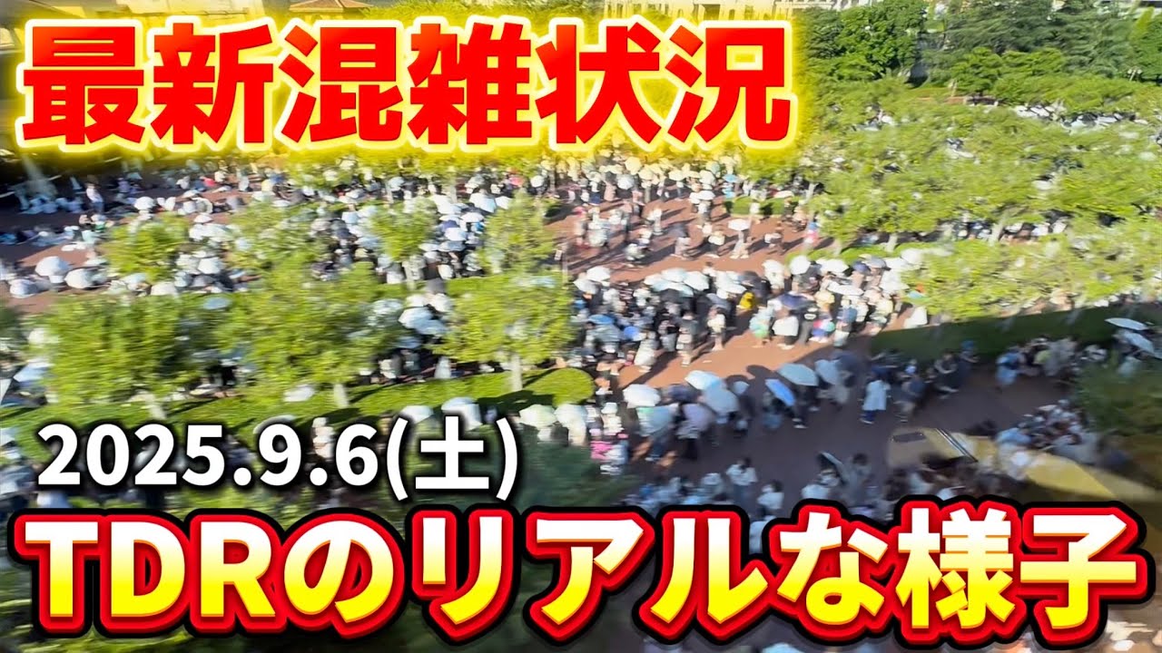 Breaking News] Big changes right after the typhoon!? A real-life