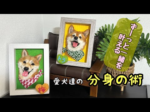 愛おしい我が子を羊毛フェルト作品で残しませんか？【ワタワタペットの