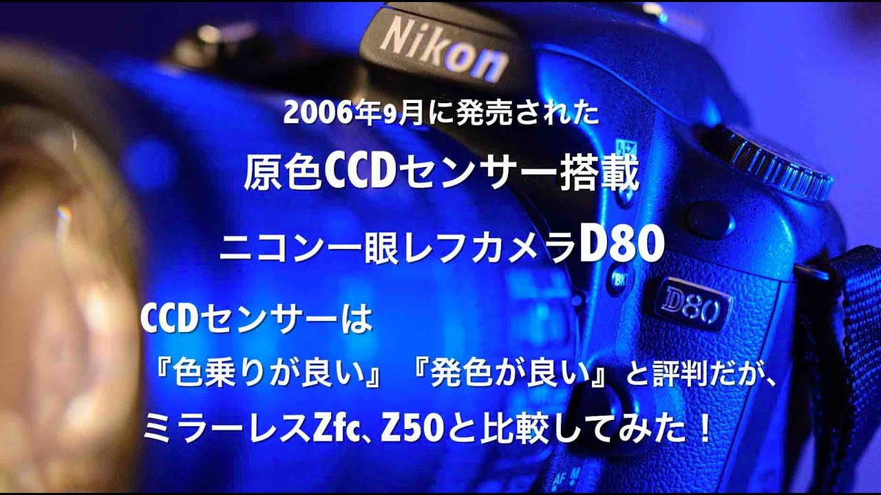 原色CCDセンサー搭載一眼レフニコンD80の色再現比較、ニコンZfc