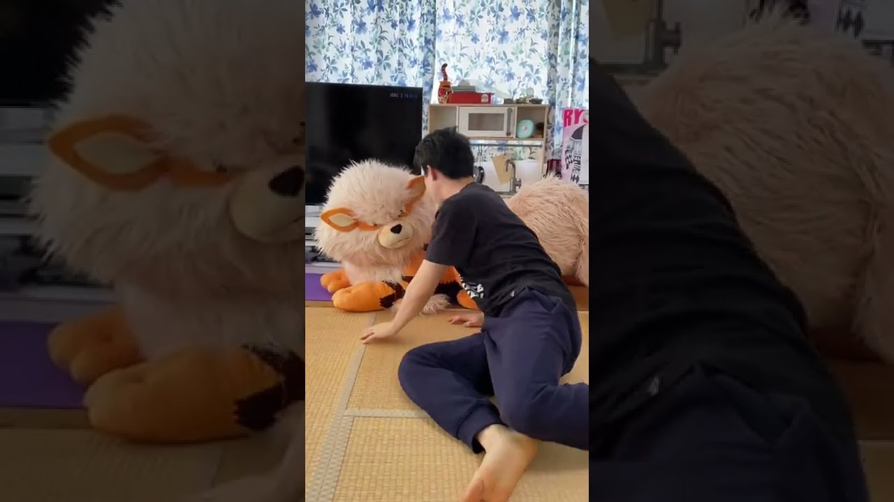 ガチでデカイw【添い寝ウインディ】ポケモンセンターオンライン 受注