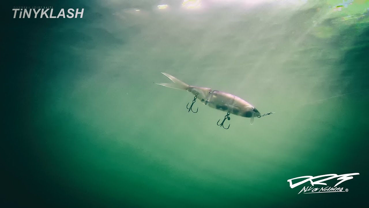 琵琶湖】タイニークラッシュ×冨本タケル【DRT】 - YouTube