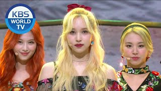 TWICE - Dance The Night Away [Music Bank / 2020.06.26] - YouTube