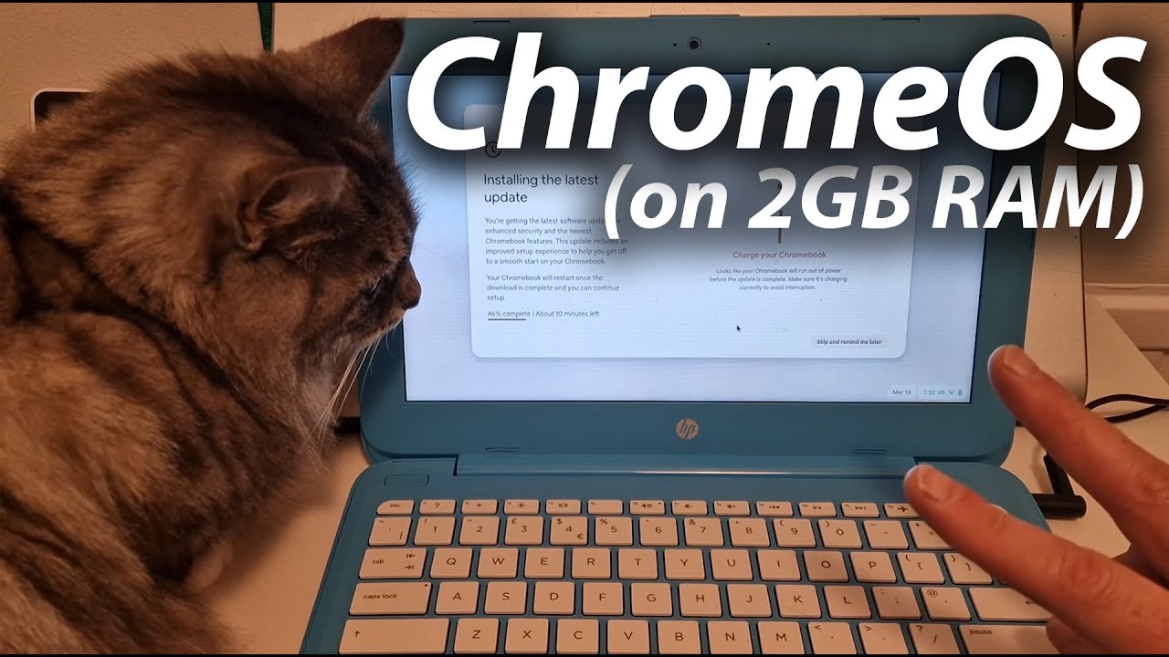 ChromeOS Flex on 2GB HP Stream 11 is it any good? - YouTube