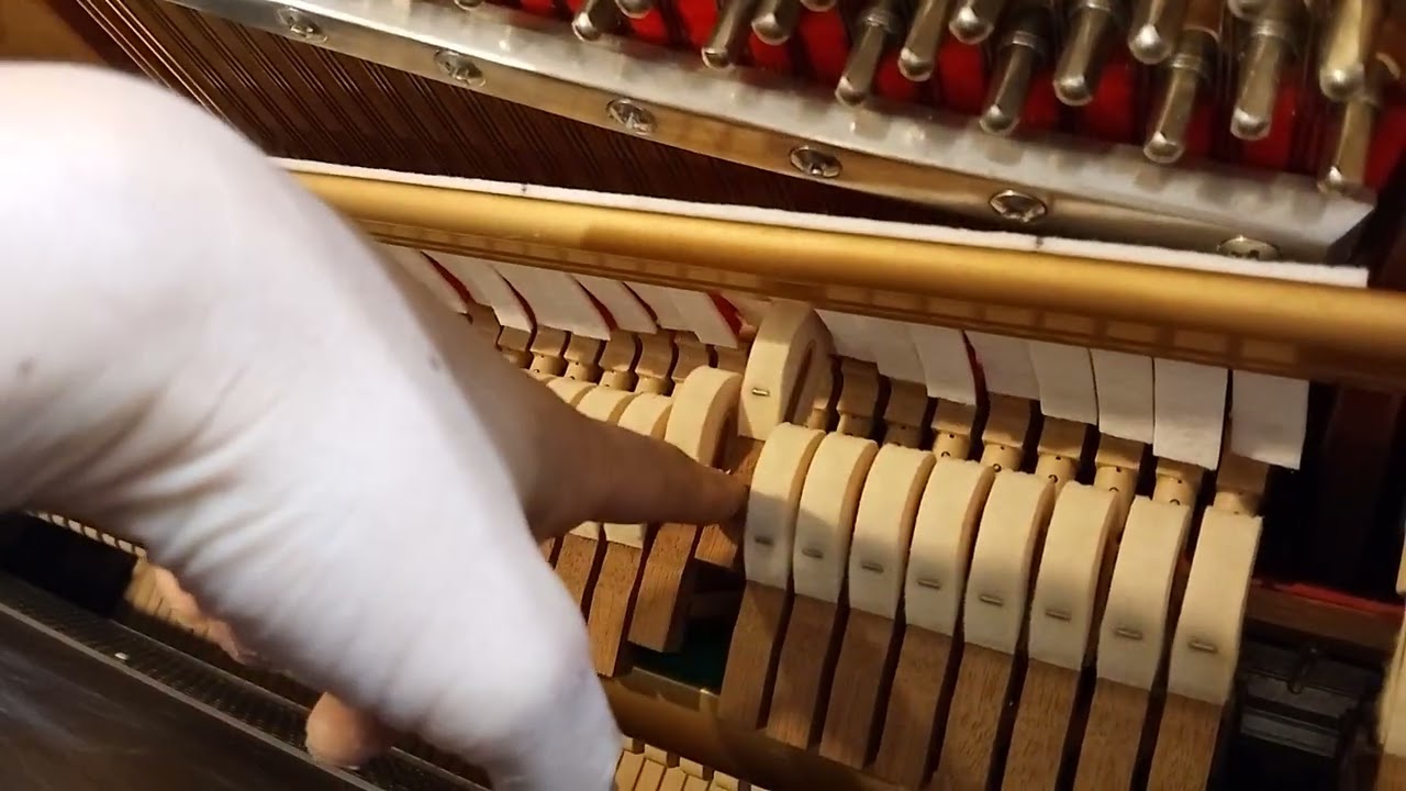 Aspen Pittman Designs / Powered Speaker Spacestation V.3 - YouTube