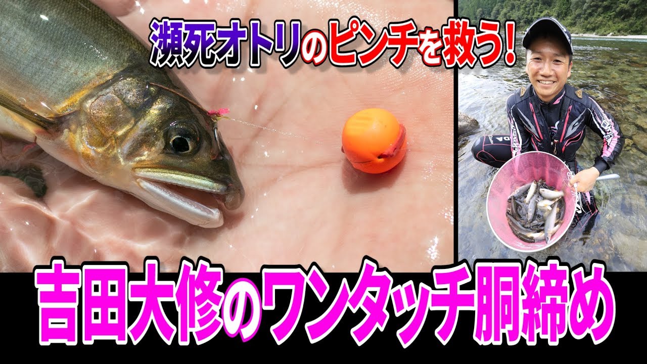 瀕死オトリのピンチを救う！ 吉田大修のワンタッチ胴締め - YouTube