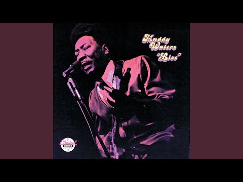 Muddy Waters – Live – CD (Album, Reissue), 1992 [r6422370] | Discogs