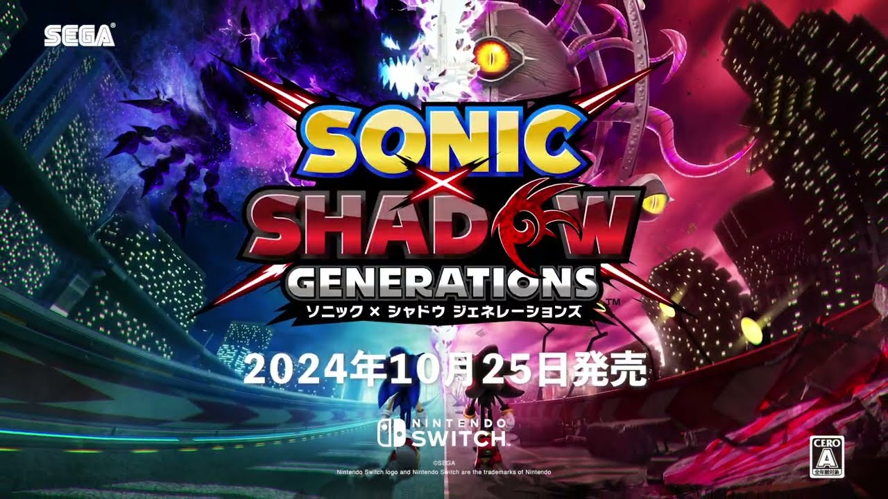 ダークヒーロー「シャドウ」と音速のハリネズミ「ソニック」の2