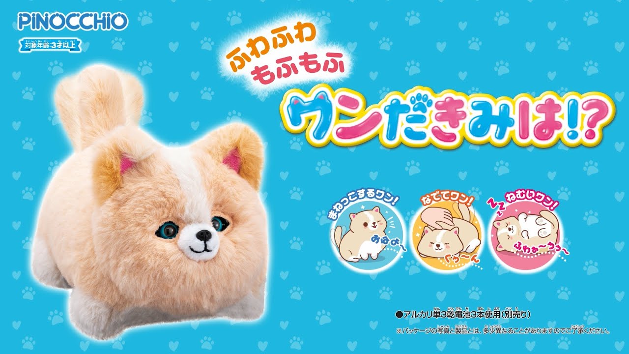 ワンだきみは！？ PV - YouTube