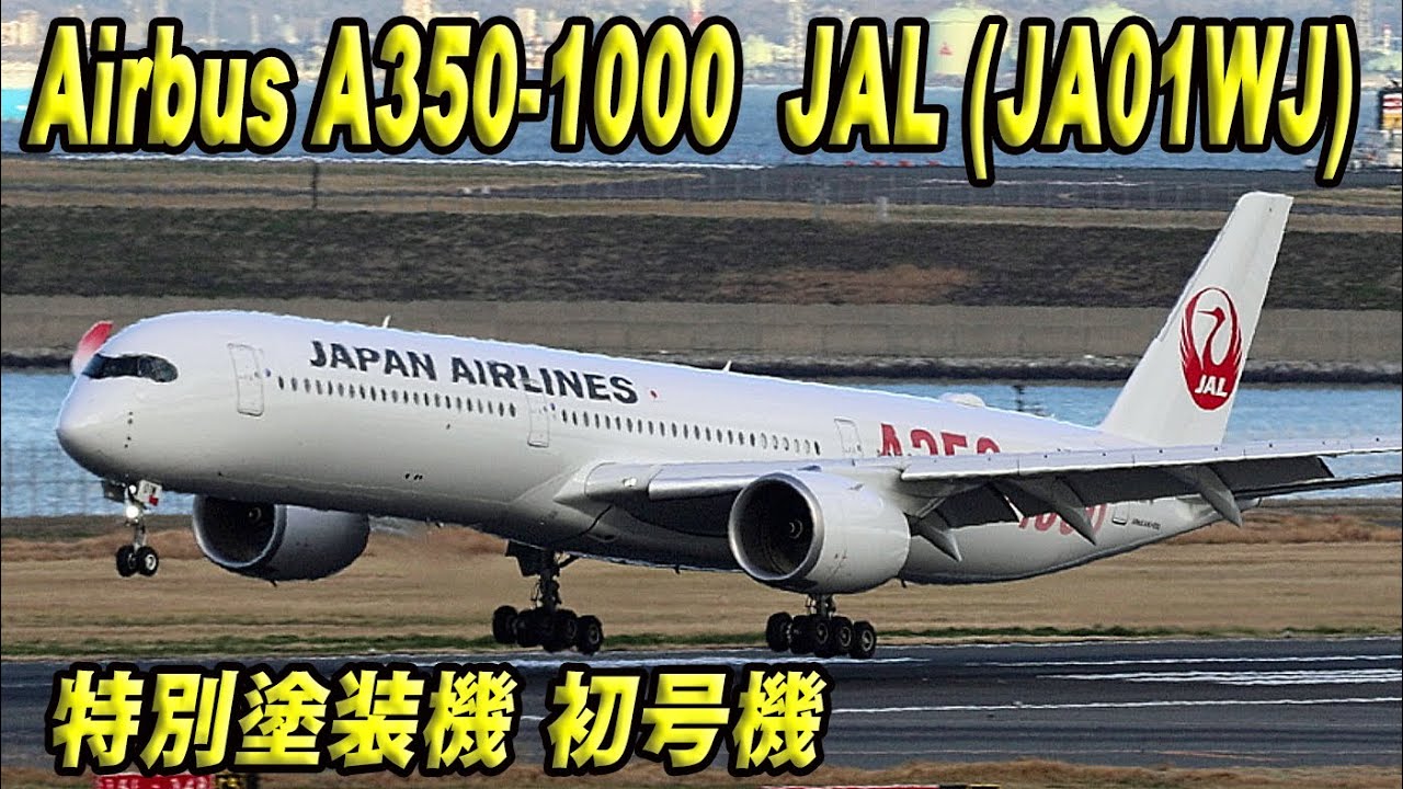 Airbus A350-1000 JAL (JA01WJ) 特別塗装機 初号機 羽田空港C滑走路に