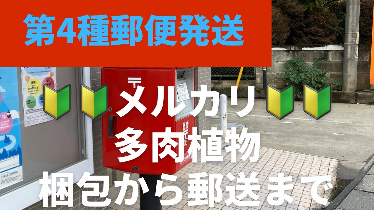 ひかる様 5苗 メルカリ便送料込 ひかる様 5苗 メルカリ便送料込