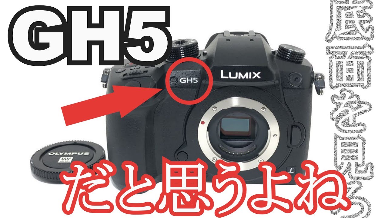 It looks like the Panasonic DC-GH5, but what is the RD-SPM049