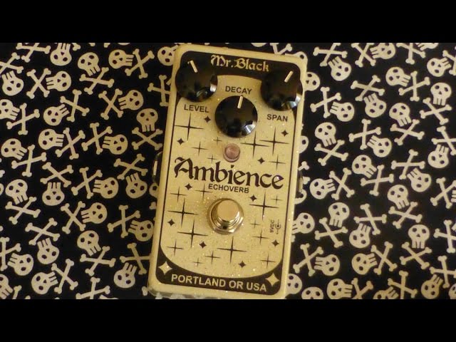 Mr. Black Dark Echo | Reverb Demo Video - YouTube