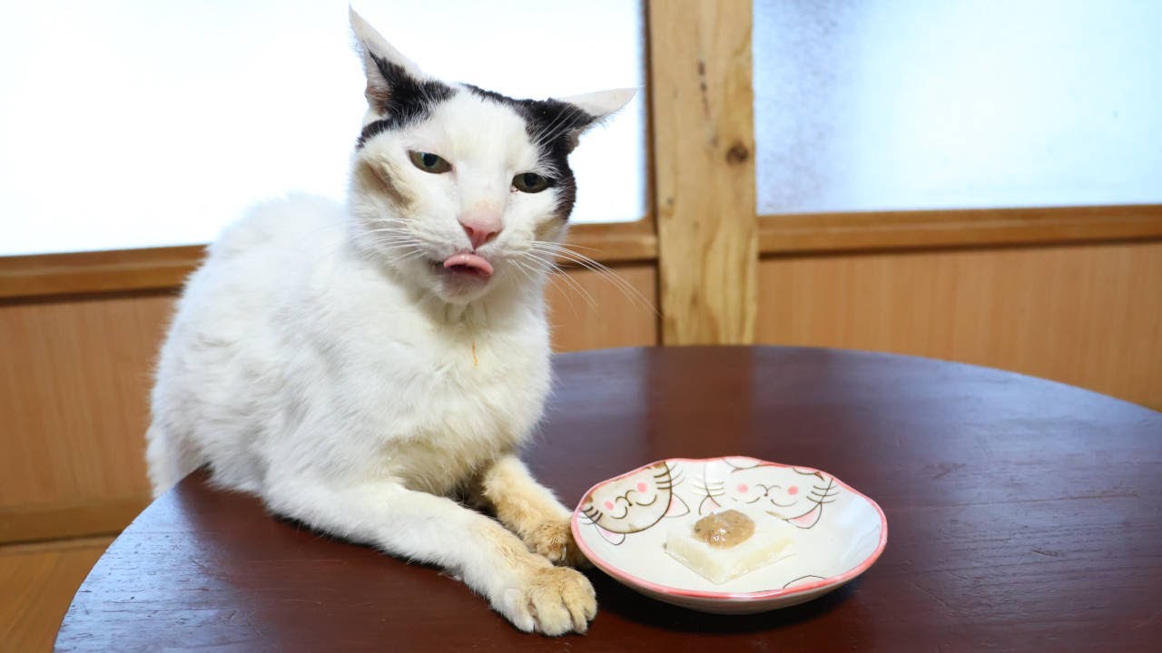 猫たちとくるみ餅作り Peeling Fresh Walnuts 2024 241230 - YouTube