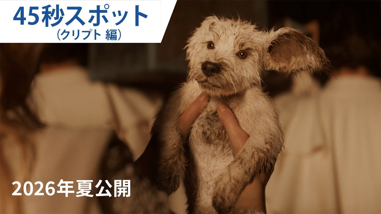 鹿乃 2ndアルバム「アルストロメリア」全曲試聴 - YouTube