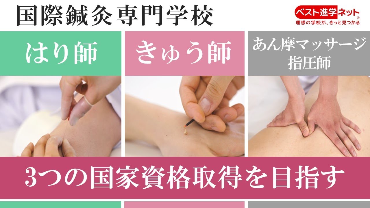 seven angel】 バラ可 鍼灸・あん摩・マッサージ指圧師教科書 図解