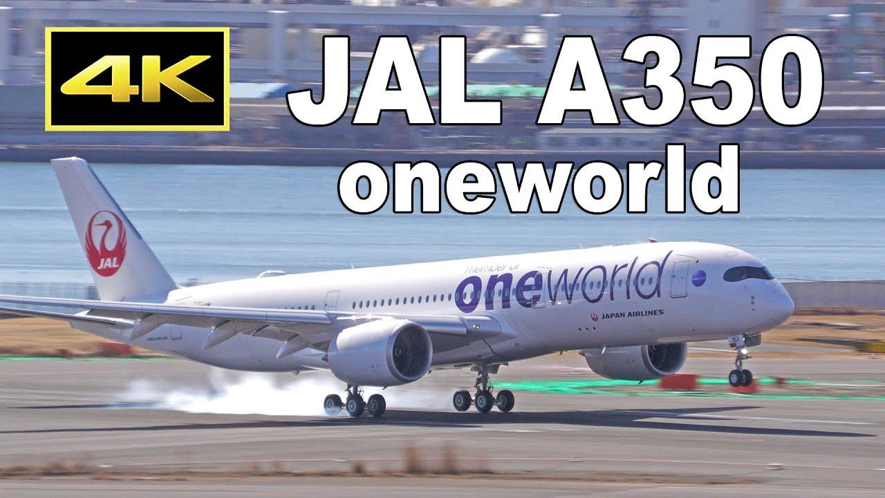 4K] JAL A350 ワンワールド塗装機 羽田に到着 / JAL Oneworld Livery