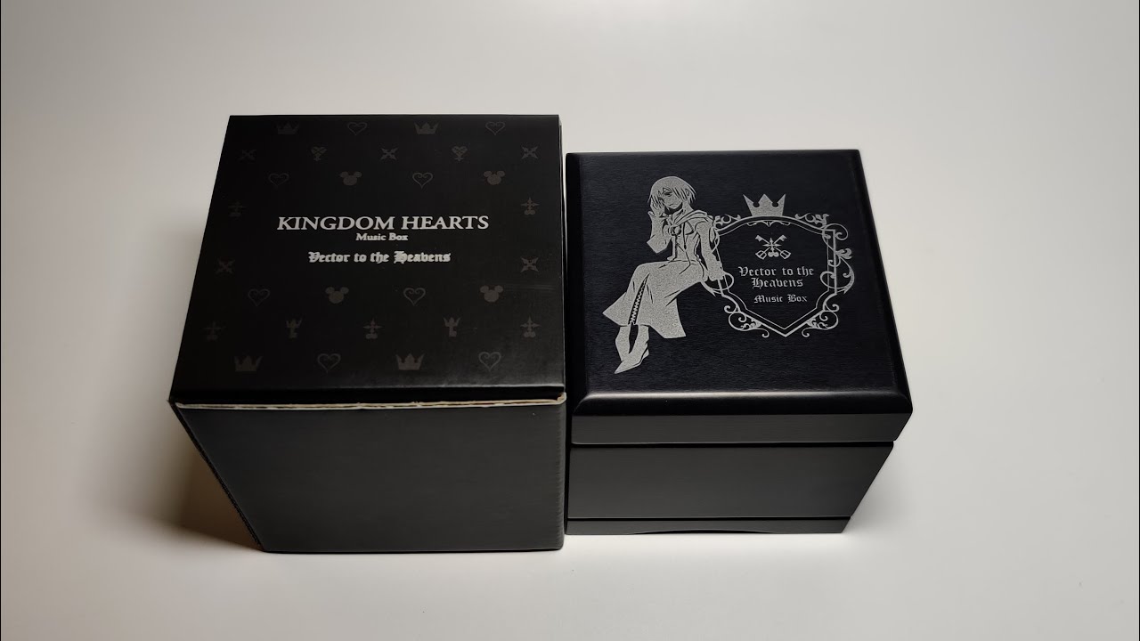 Kingdom Hearts - The Other Promise (Roxas Theme) - Music Box