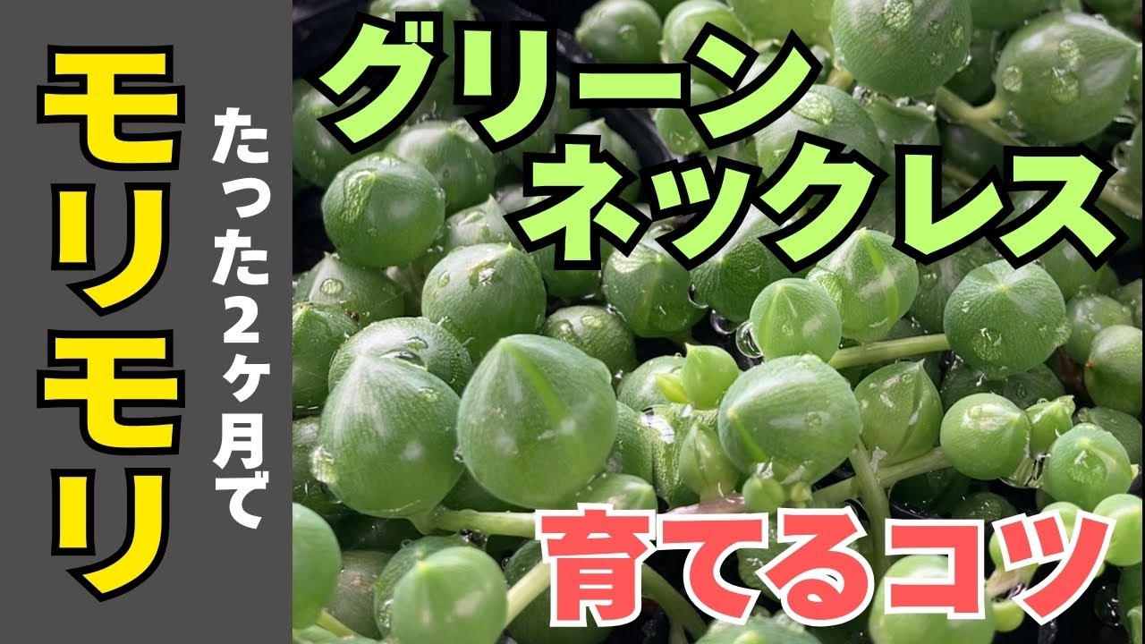 If you don't like it, you'll be missing out if you don't know! How