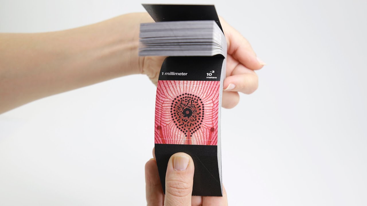 Powers of Ten Flipbook - YouTube