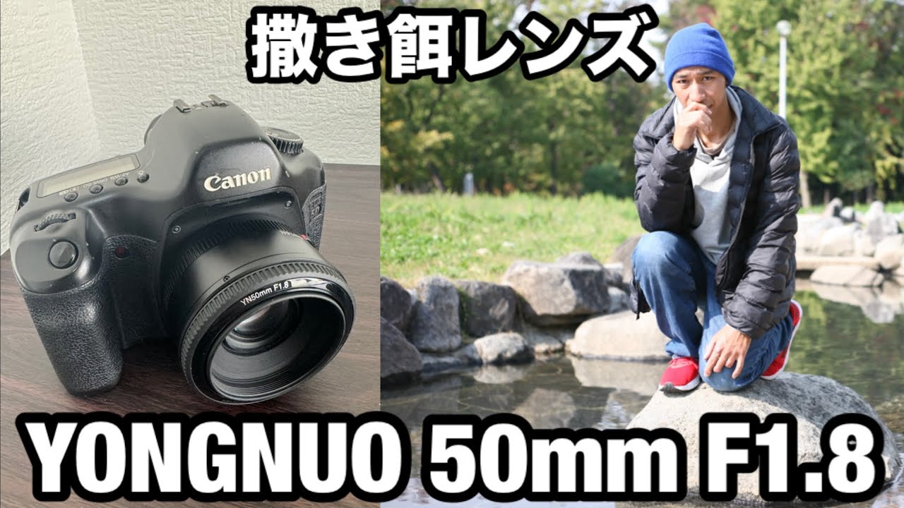 撒き餌レンズ】YONGNUO 50mm F1.8 レビュー - YouTube