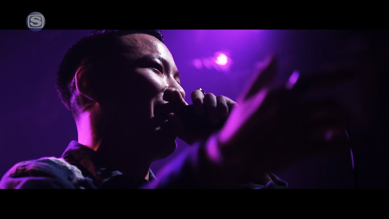 LIVE FILE : WILYWNKA - 