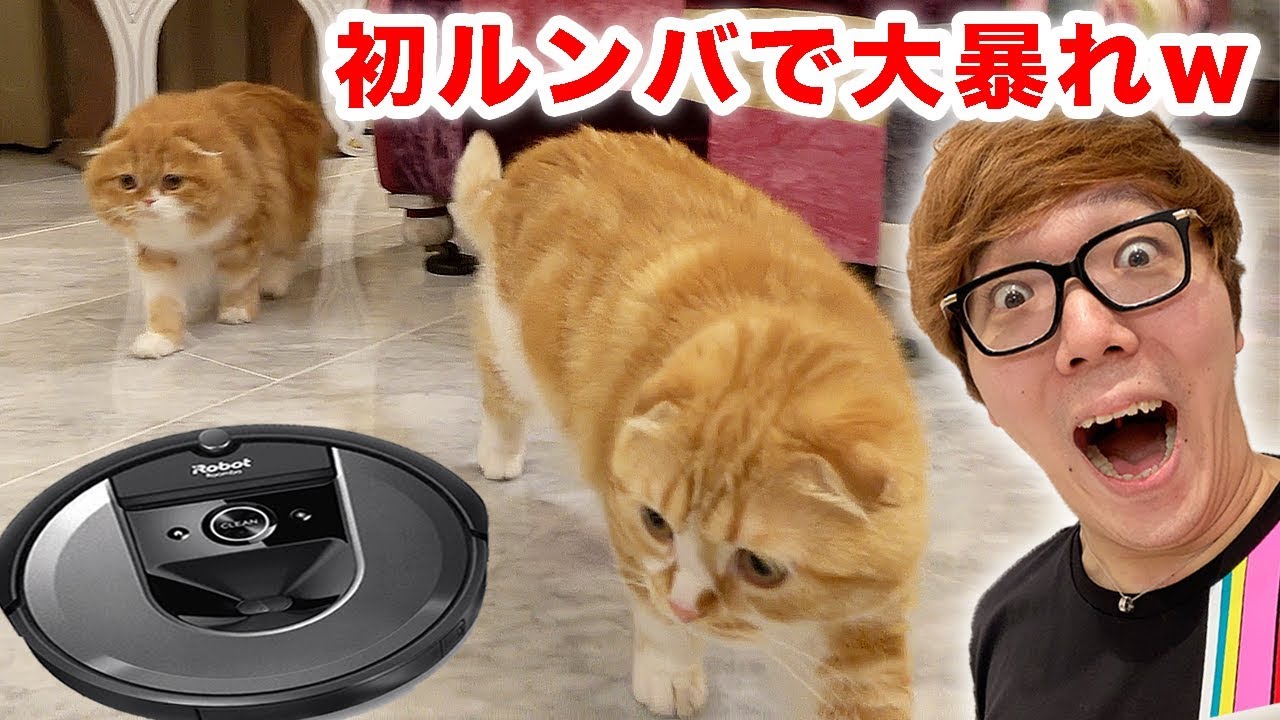I bought the latest, greatest Roomba, and Maruo & Mofuko are going