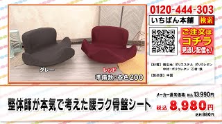 整体師が本気で考えた 腰ラク骨盤シート(グレー): 美容・健康