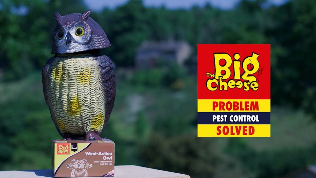 Wind-Action Owl STV965 - YouTube