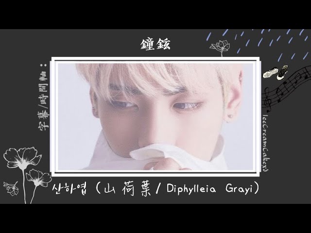 繁體字幕】鐘鉉(Jonghyun/ 종현) - 산하엽(山荷葉/ Diphylleia Grayi