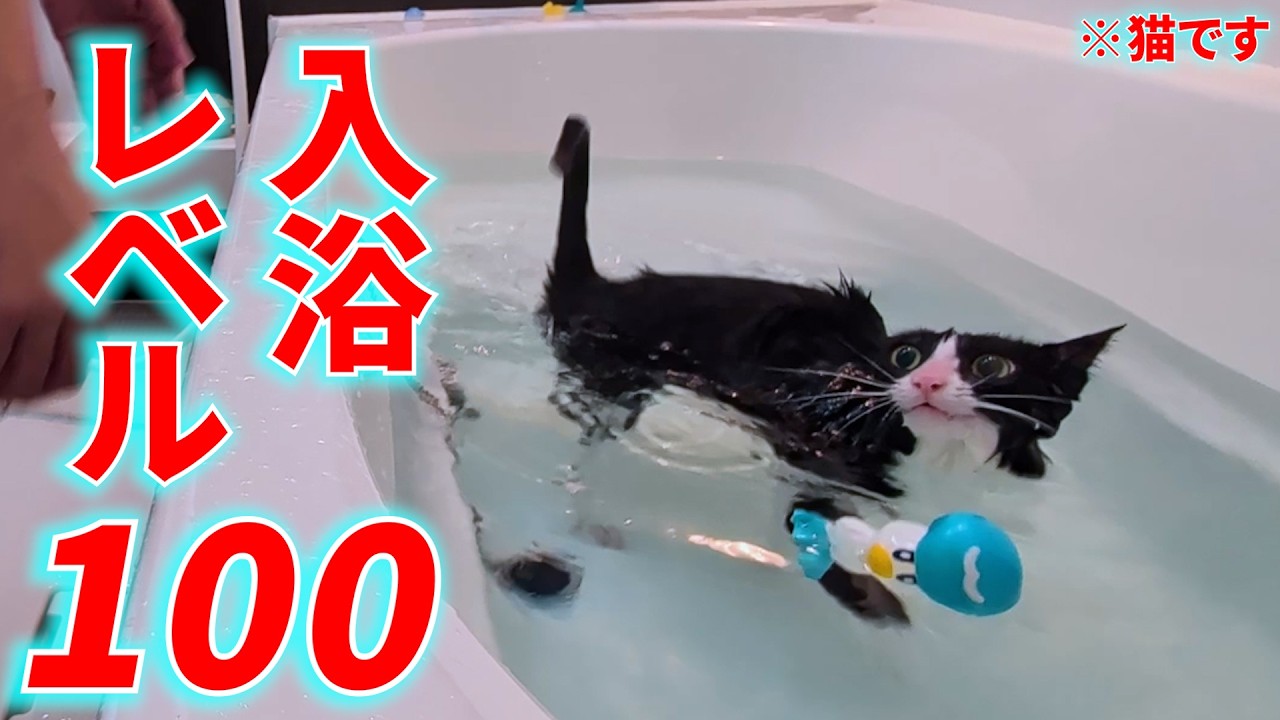 After Crew] Baby Baby | Full version - YouTube