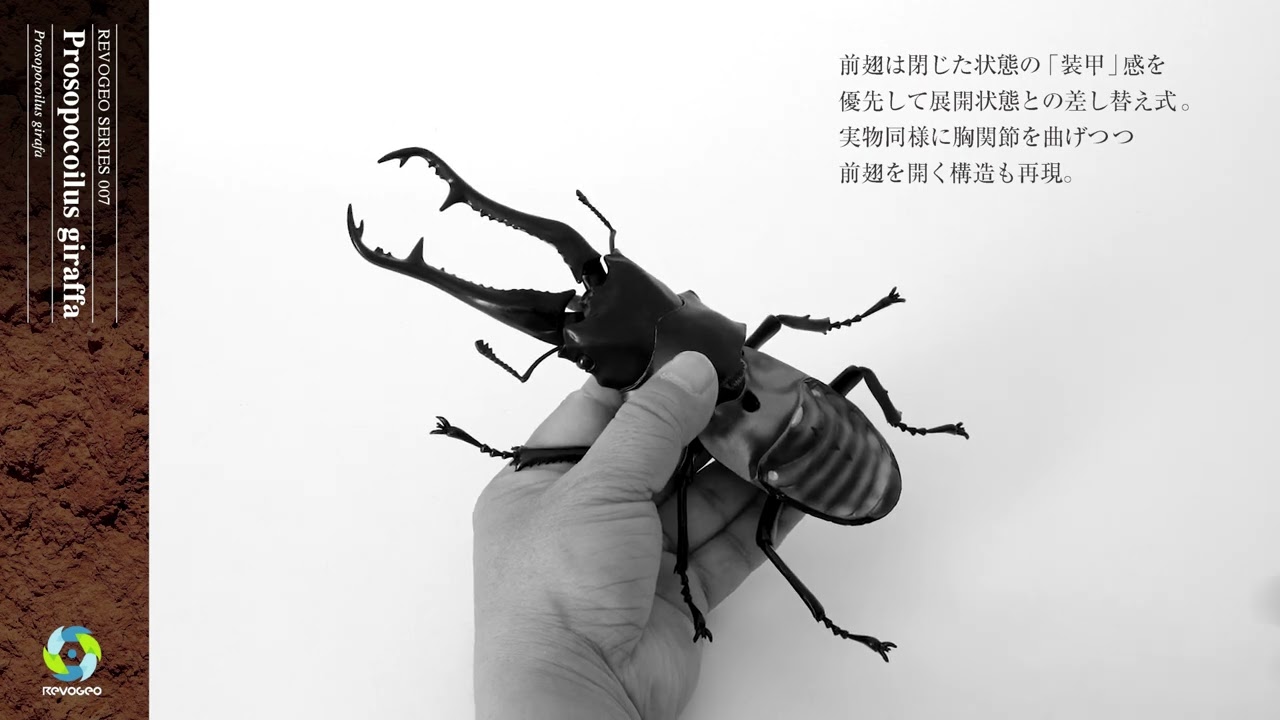RG007 リボジオ ギラファノコギリクワガタ｜リボジオ｜海洋堂