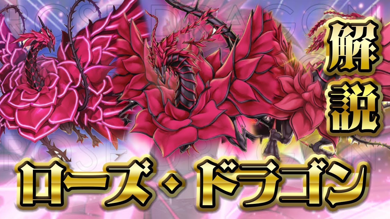 テーマ解説】ローズ・ドラゴンデッキの構築と回し方【遊戯王マスター