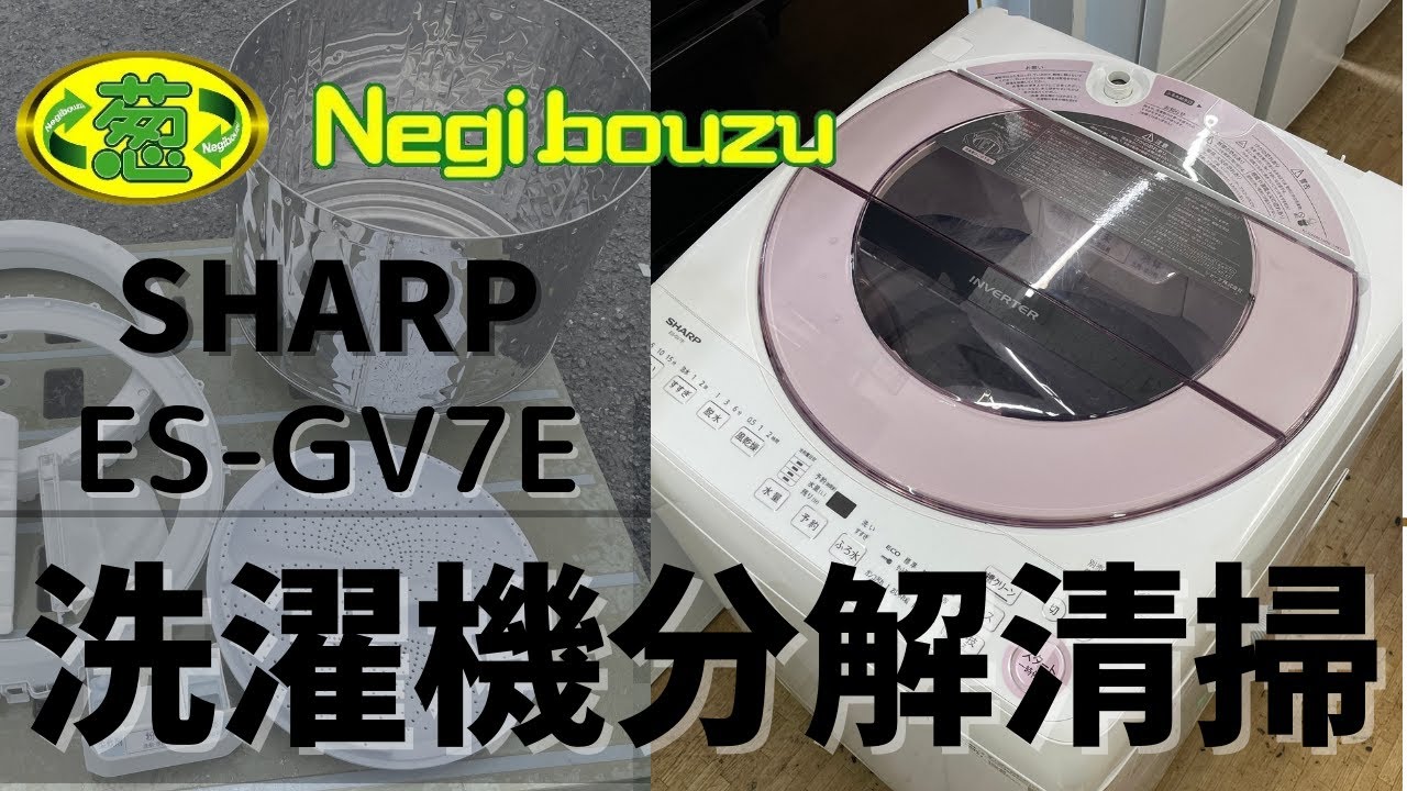 分解清掃【 SHARP 】シャープ 洗濯7.0㎏ 全自動洗濯機 低騒音