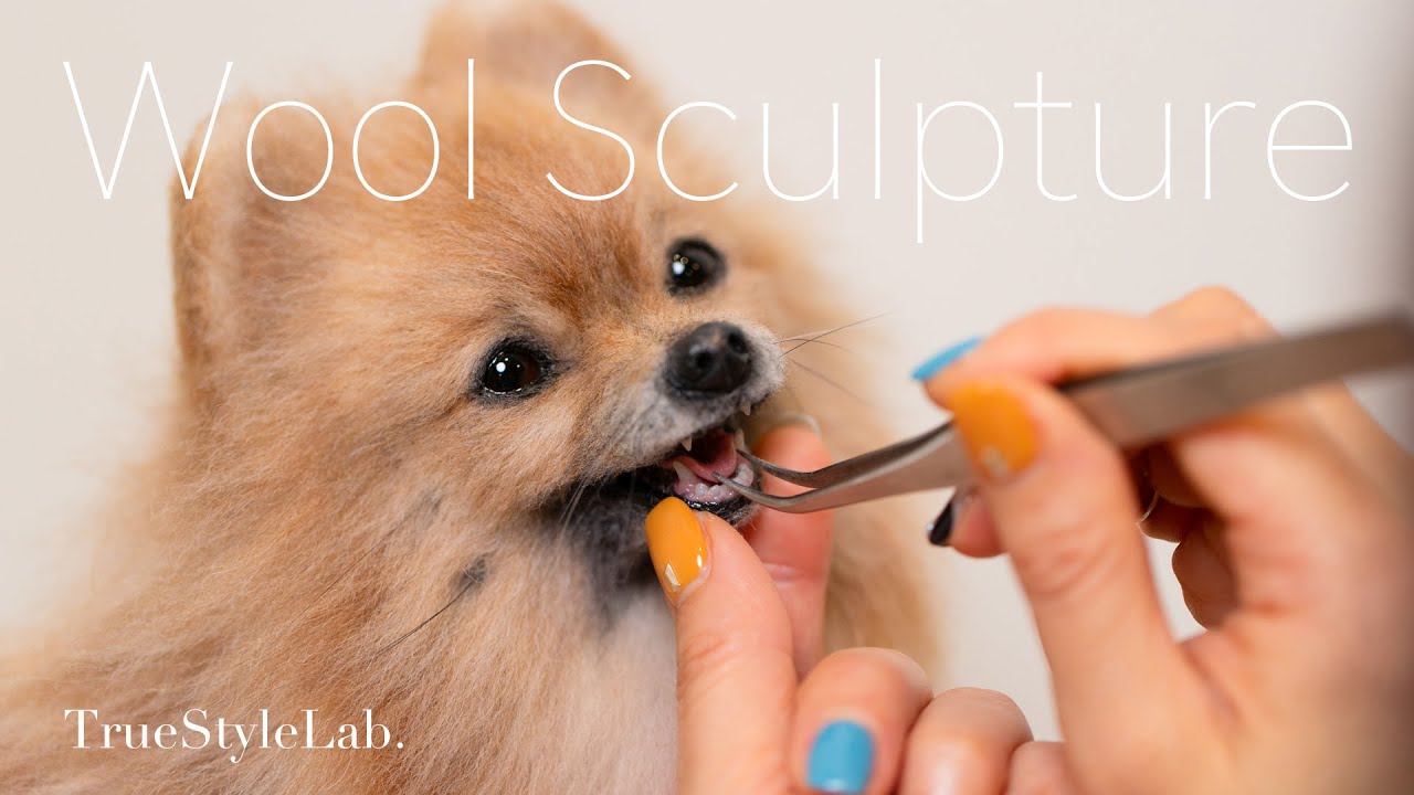 羊毛造形】ポメラニアン / Wool Sculpture（羊毛フェルト） - YouTube