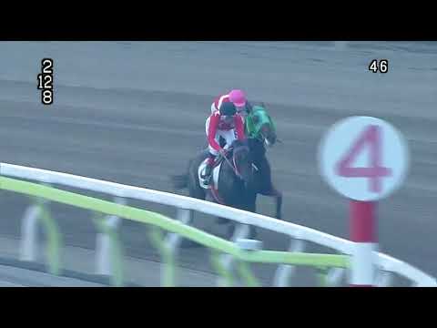 マトチャンネル】的場文男騎手 祝7152勝達成！（8/12 大井5R） - YouTube